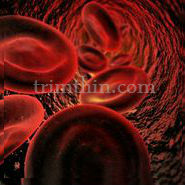 Diets for Your Blood Type