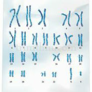How Exercise Affects DNA