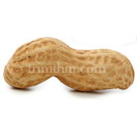 National peanut day smoothie recipes