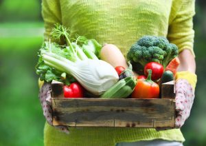 Easy Vegetable Container Gardening for Weight Loss